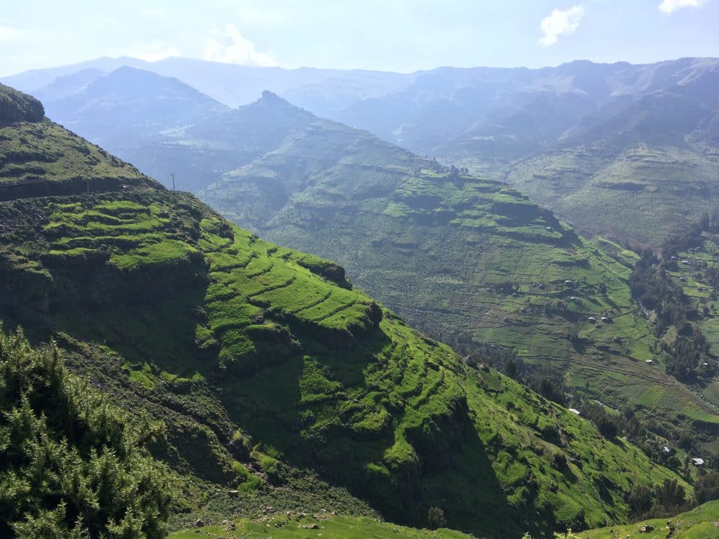 Tundra w Etiopii